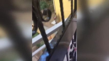 Fetö'nün Darbe Girişimine İlişkin Yeni Görüntüler - Saklanan Darbeciler