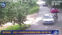 Tiger attacks and kills woman at safari park in China