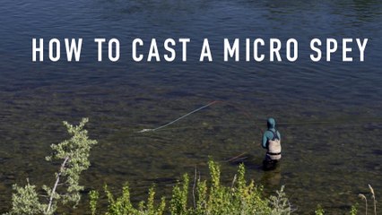 How to Cast a Micro Spey