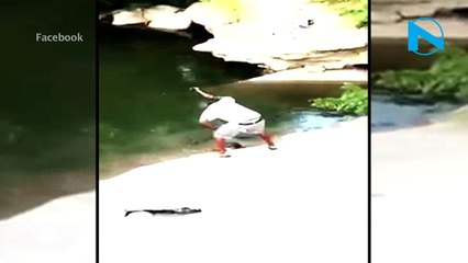 Humanity sobs! Man smashes turtle to death with hammer