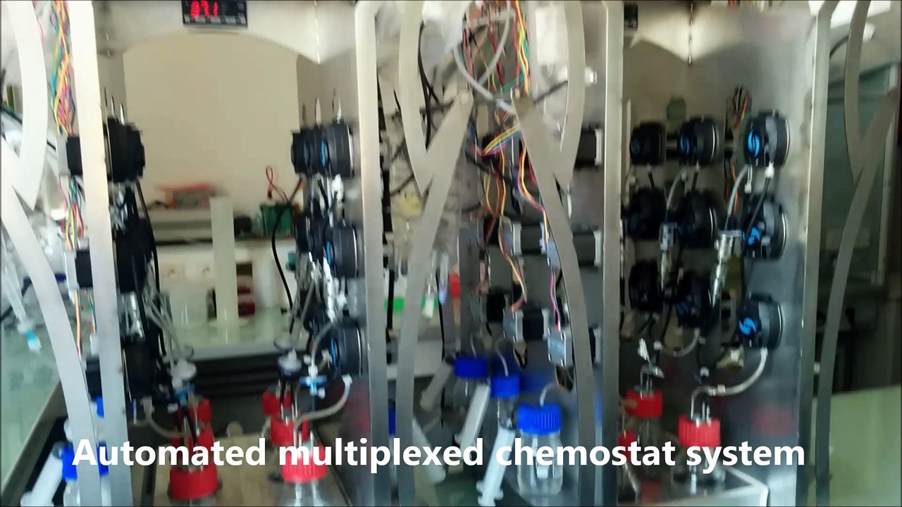 Automated multiplexed chemostats system