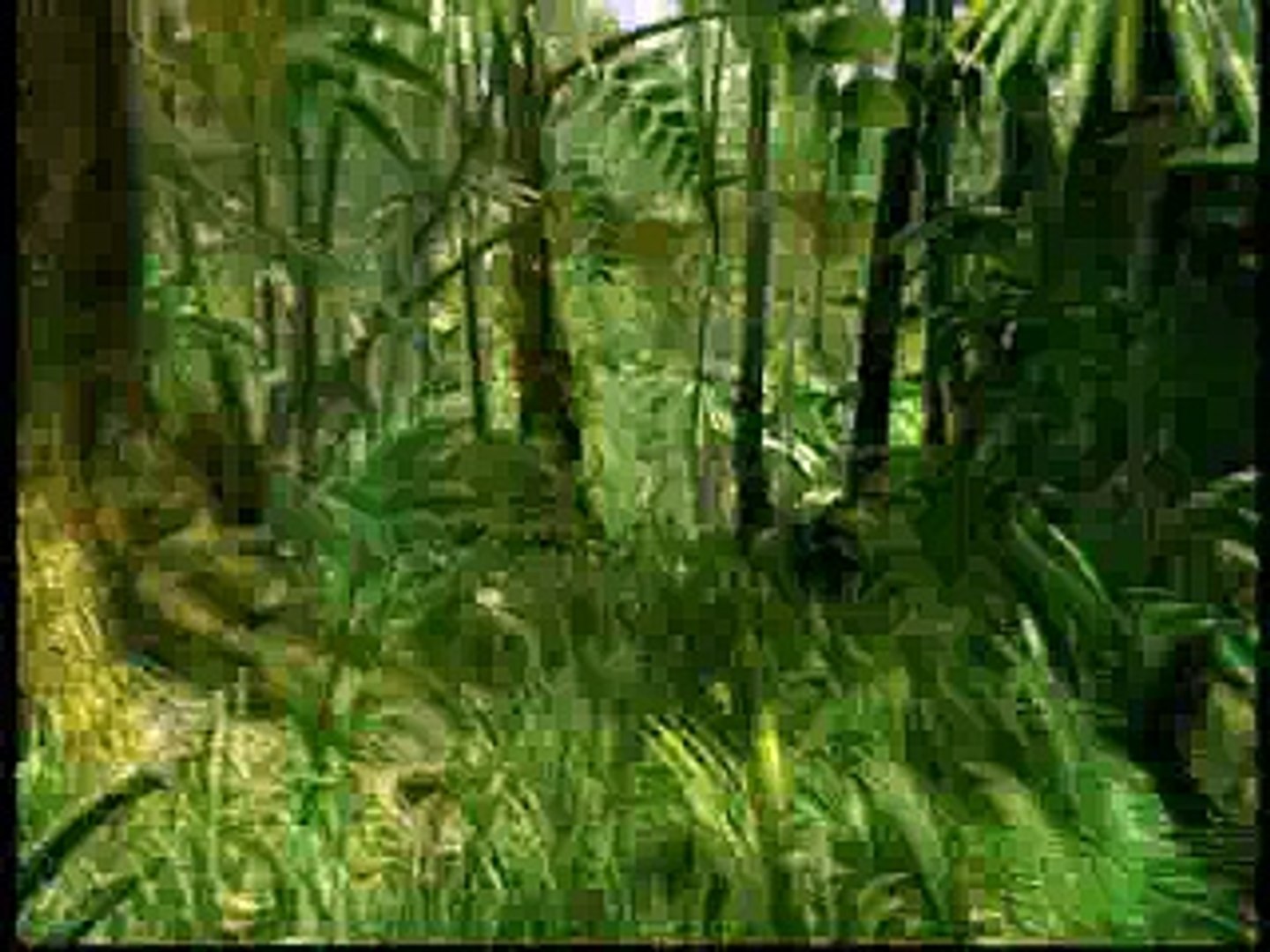 Intelligence Artificial (iA) Chat Simulation (Ai)