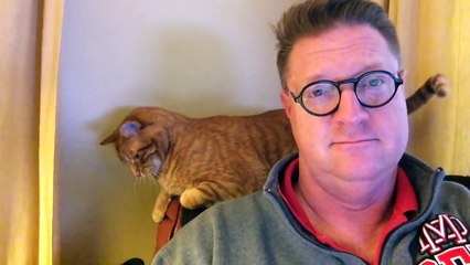 Cat and Dog Interrupt Owner s Sunday Morning !