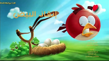 Angry Birds ep11