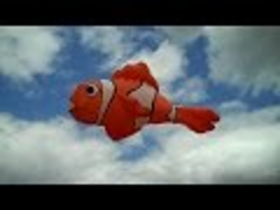 Kite Flying