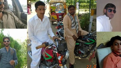 Malik Hasib Awan: Profile & Insights