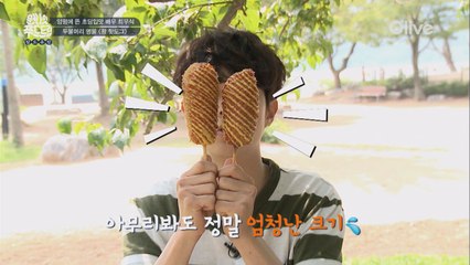 [양평] 바사삭! 최우식 왕핫도그 먹방