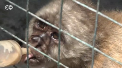 Venezuela’da açlık dramı