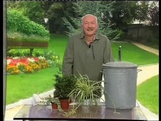 Rentrer plantes vertes