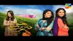 Haya Ke Daman Mein Eds 87 Promo    Hum TV Drama 28 July 2016