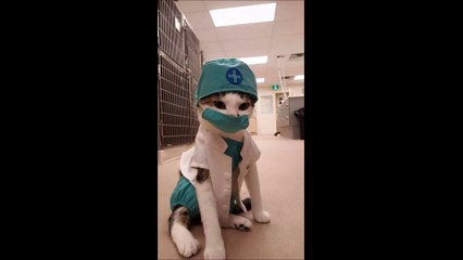 Les photos Fun et Insolites du Web 038