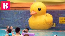 Катя купается в огромном бассейне с уточкой в аквапарке и 1100 магазинов игрушек в одном Центре новое видео канал 2016