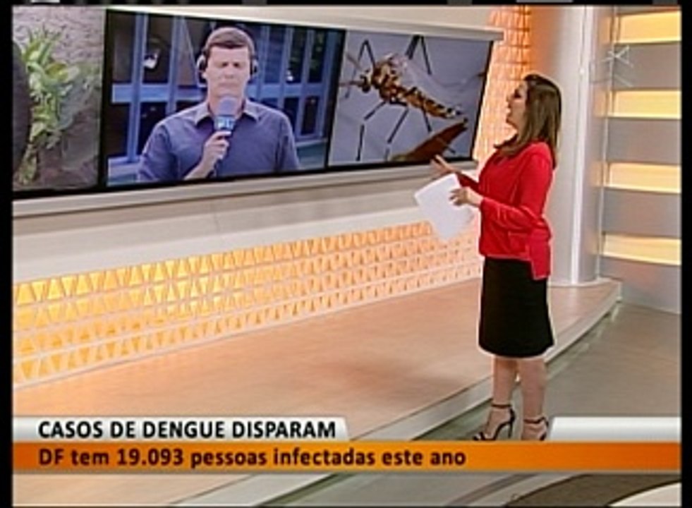 CASOS DE DENGUE DISPARAM