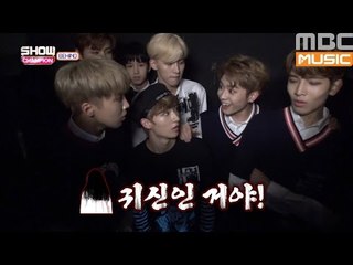 (Showchampion behind EP.15) Horror in Show Champion 'ROMEO'