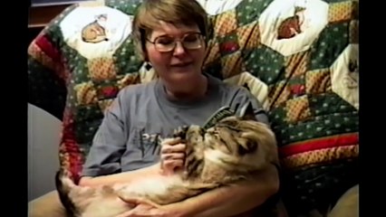 Funny Animal Compilation 2  Best Of Petsami
