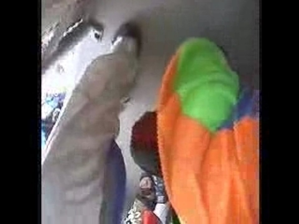 Premier saut en tandem