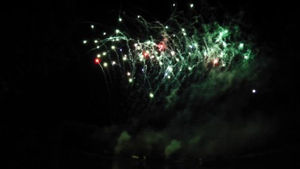 2016 - Aubigny sur Nère (18) - Fêtes Franco Ecossaises