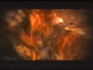 Papa Roach - Between Angels And Insects