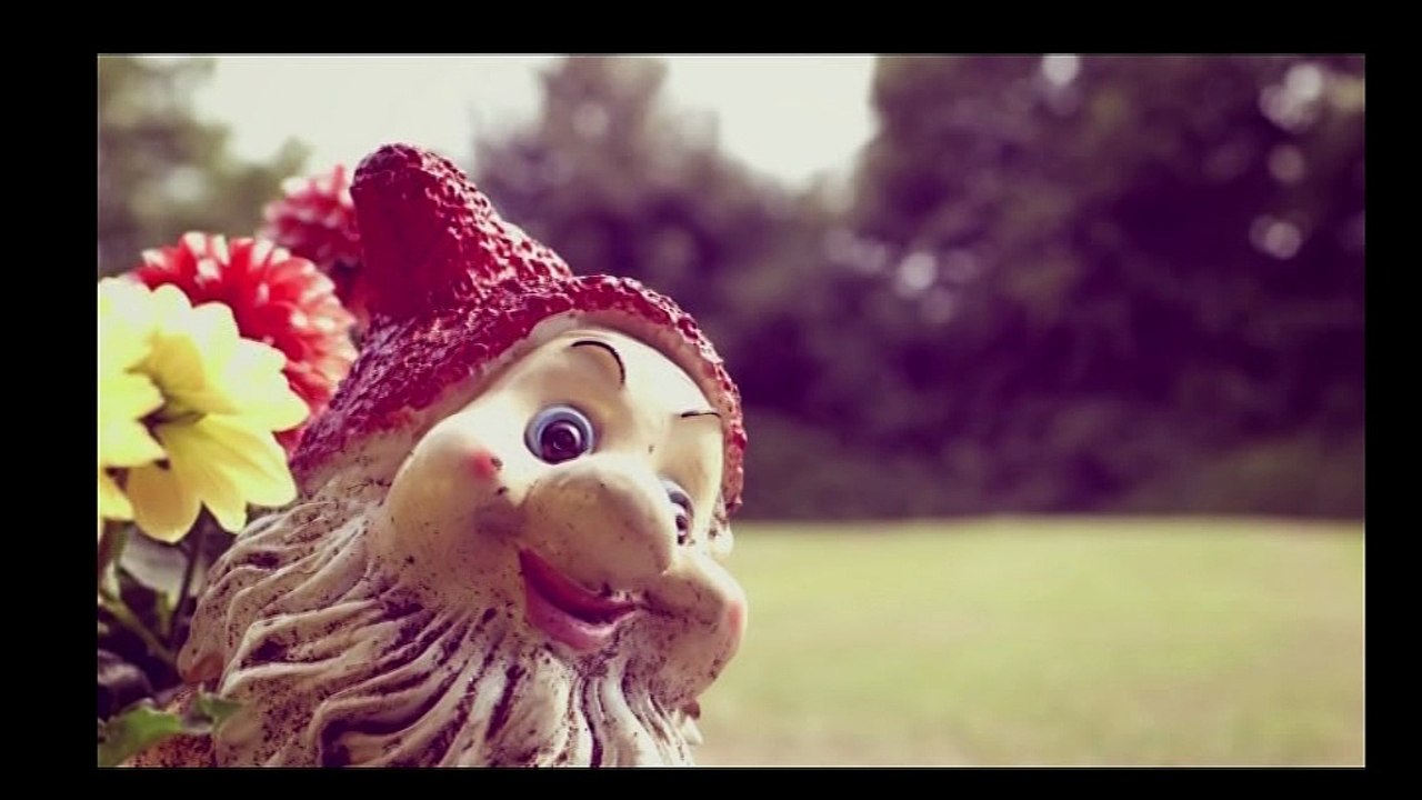 Maderlehen Rasenmäher-Bulldog-Freunde - RBF Gründungsfest 2016 - Trailer 4