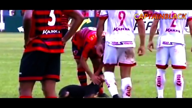 Animals on the Football Pitch ● Funny Moments