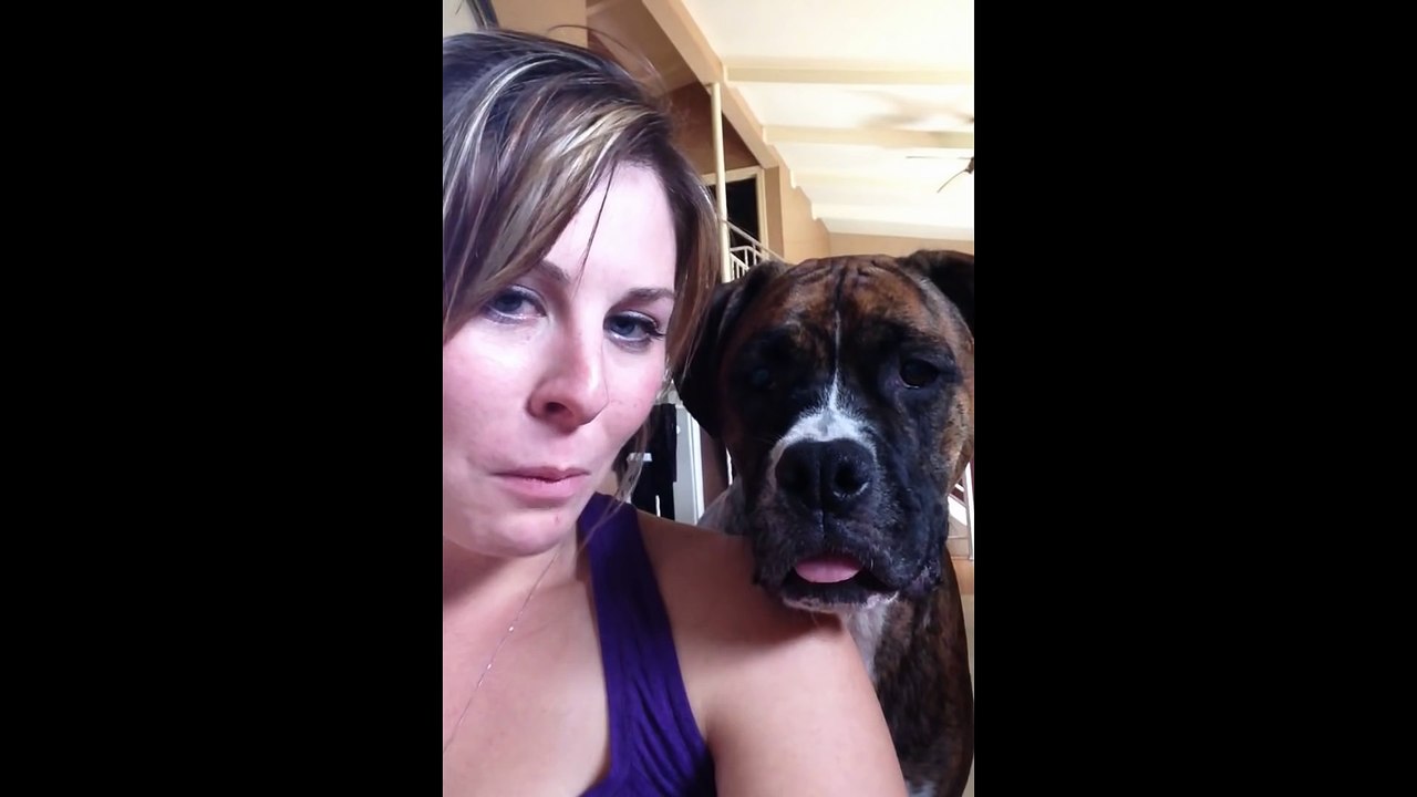 Awesome Animal Tongues  Compilation