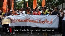 Norelys Rodríguez también estuvo presente en la marcha para el revocatorio