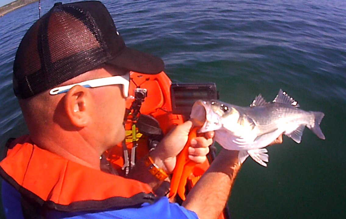 Sortie en kayak Hobie Outback, pêche du bar