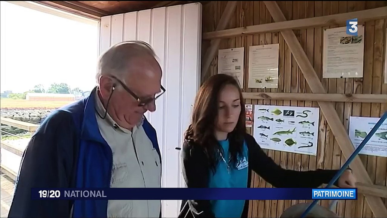 Vacances: à Royan, à la découverte des carrelets