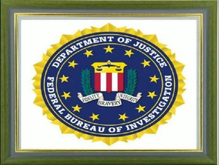The FBI is designated to play a key role in the response to a significant cyber incident, should one occur. July 28, 201