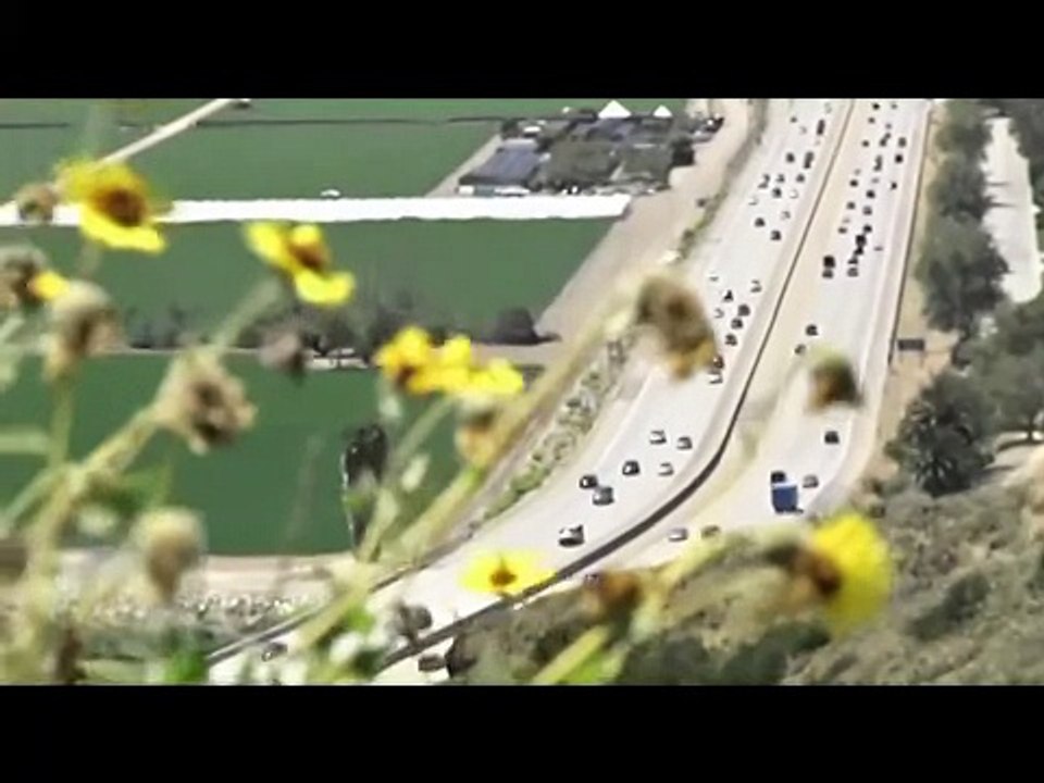 This (Illegal) American Life - Part 1/2