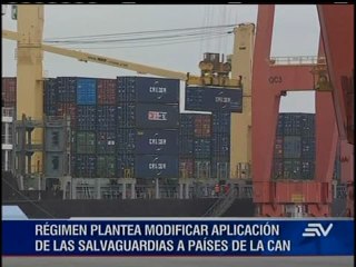 Gobierno analiza aplicar salvaguardia A la comunidad andina