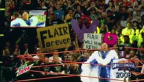 WWE Ric Flair vs Shawn Michaels Wrestlemania 24 HD