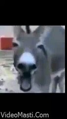 Bhabhi Ke B00bs Zor Se Dabaye - Ouch Lol