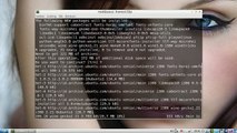 Install PlayOnLinux DI Linux Ubuntu 16.04