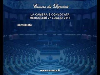Roma - Camera - 17^ Legislatura - 663^ seduta -1- (27..07.16)