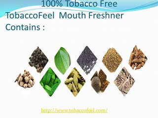 100% Herbal Brand and environmentally friendly cigarettes  -Tobaccofeel