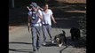 Pregnant Mila Kunis goes make-up free walk with family dog , Ashton Kutcher and Wyatt
