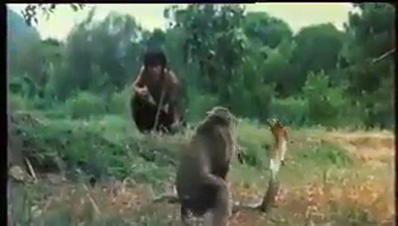 Dailymotion