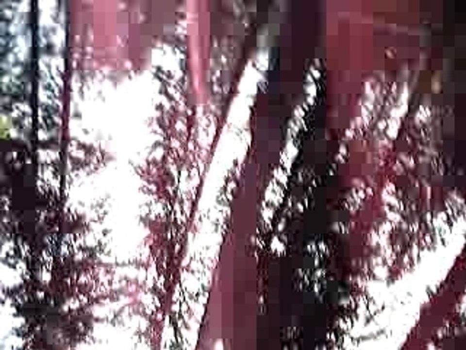 Vidéo 3