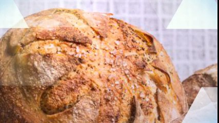 Professional Headshot Photographer In Petaluma, CA