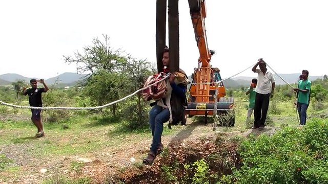 Une association vient en aide à une chienne coincée dans un puits