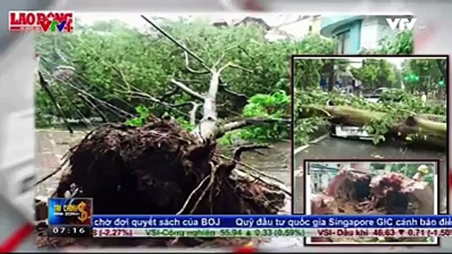 Cây xanh là chủ đề chính trong rất nhiều tác phẩm của các nghệ sĩ. Và trong cơn bão số 1 vừa qua, cây xanh một lần nữa lại trở thành chủ đề chính cho bài viết trên báo Lao động với nhan đề Tử thần treo trên đầu người dân .