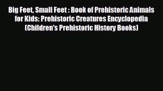 Free [PDF] Downlaod Big Feet Small Feet : Book of Prehistoric Animals for Kids: Prehistoric