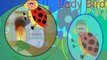 Lady Bird Lady Bird - Fly Away Home