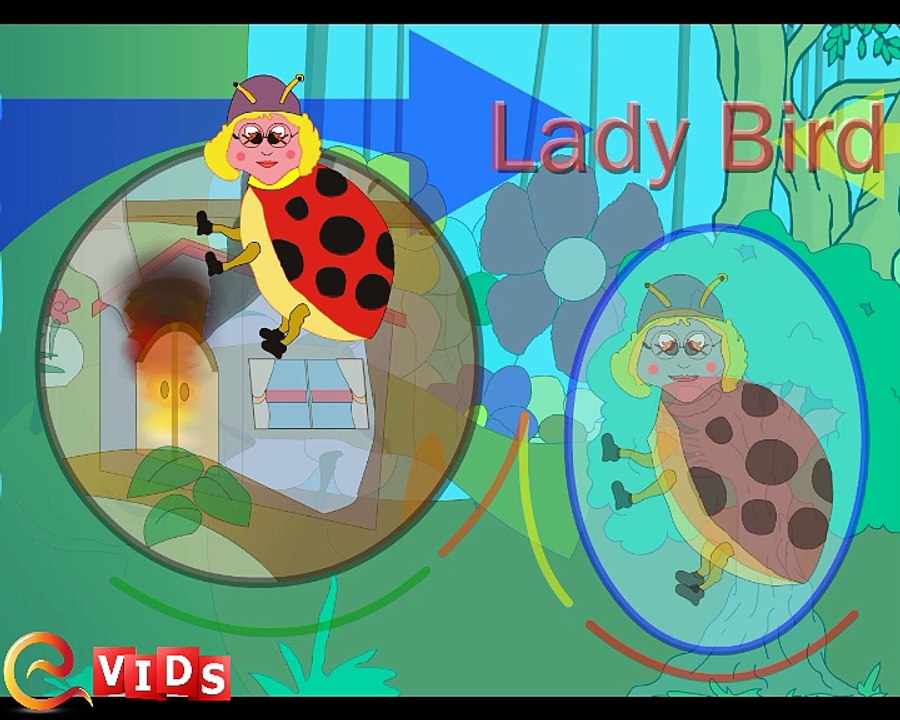 Lady Bird Lady Bird - Fly Away Home