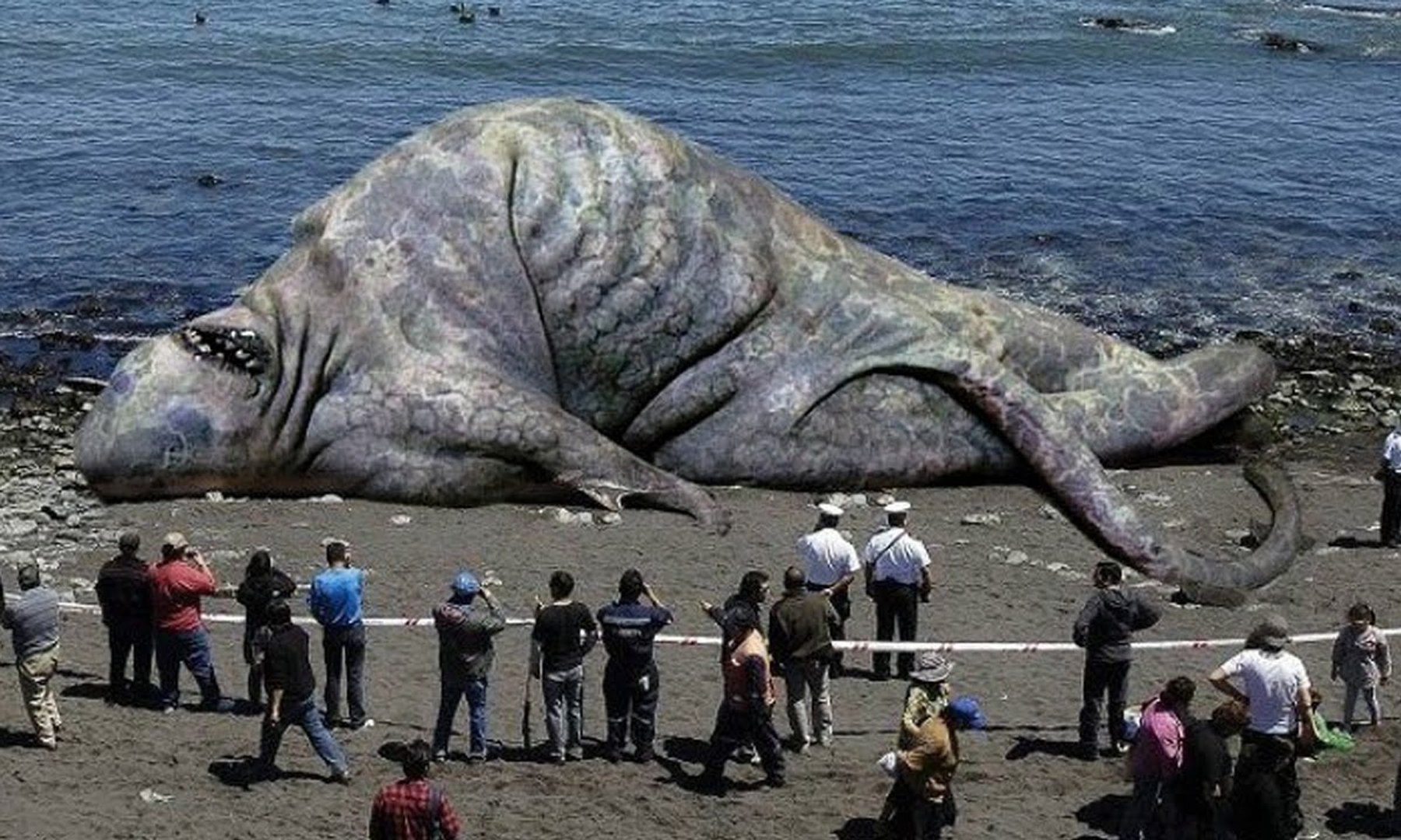 World's Biggest Sea Creatures - Giant Animals - Dailymotion Video