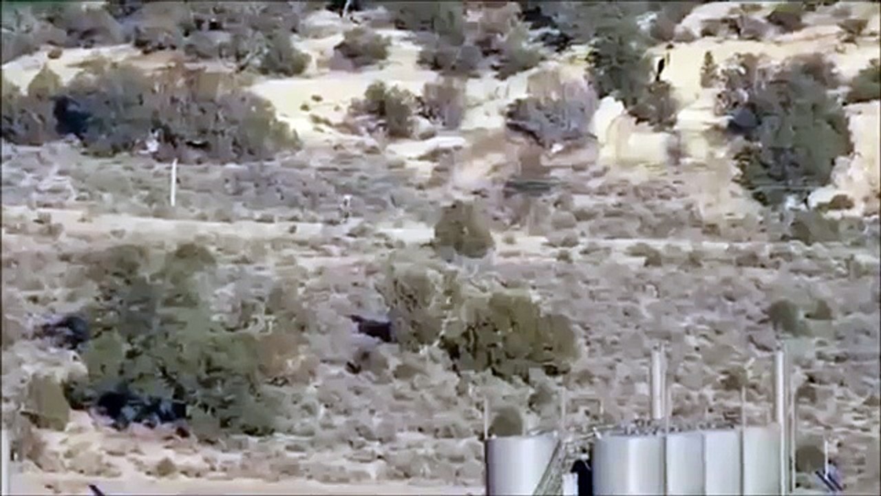 【UMA映像】野人？ビッグフット？エイリアン？アメリカで撮影された不気味な獣人_AhGrtsy...