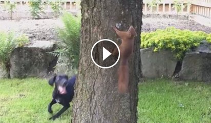 Catch Me If You Can