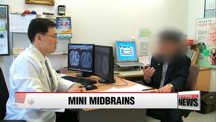 International research team grows mini midbrains from human stem cells