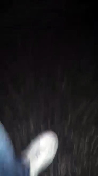 Aksidenti në Radushë